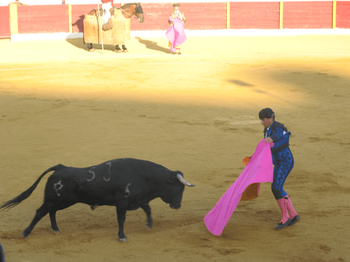 Matador and bull.