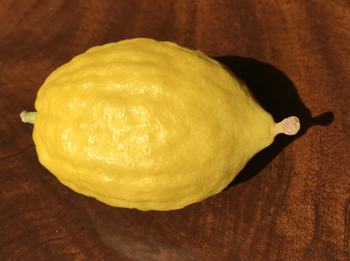 Etrog