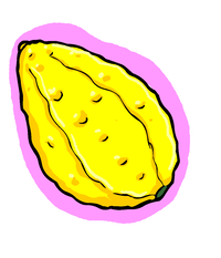 Etrog